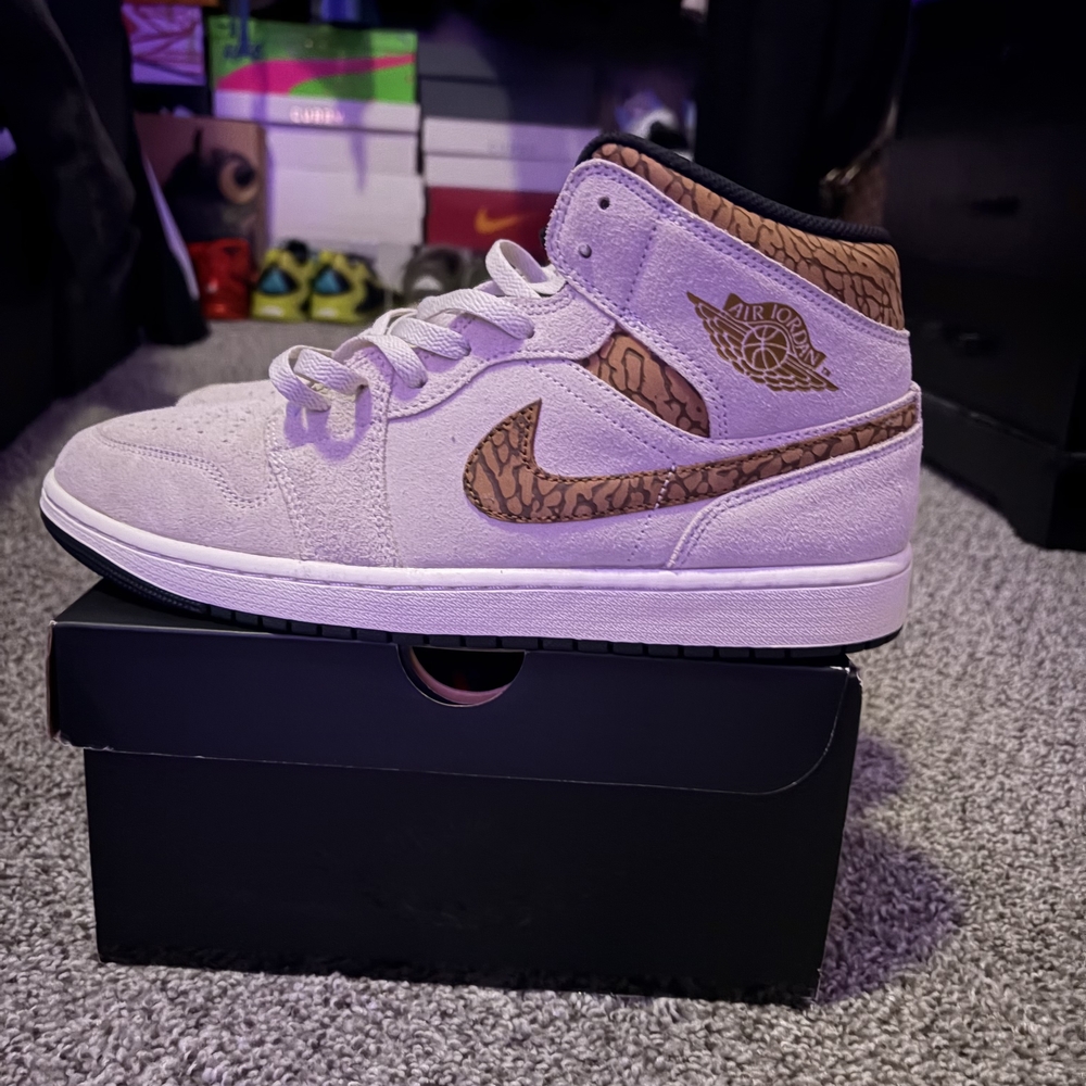 Jordan Sneakers in White and Brown